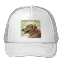 Golden Retriever Pup Baseball Hat