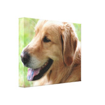 Golden Retriever Pup Canvas Print