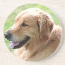 Golden Retriever Pup Coaster