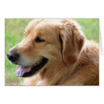 Golden Retriever Pup Greeting Card cards
