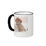 Golden Retriever Pup in Snow Coffee Mug