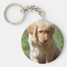 Golden Retriever pup Keychain