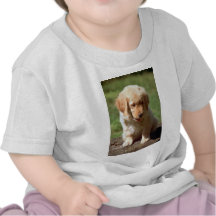 Golden Retriever pup T-shirt