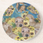 GOLDEN RETRIEVER PUPPIES BOUQUET COASTERS