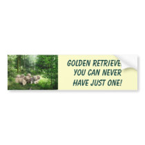 Golden Retriever Puppies Bumper Sticker
