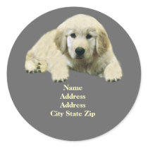 Golden Retriever Puppy Address Label