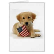 Golden Retriever Puppy and Flag Greeting Cards