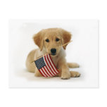 Golden Retriever Puppy and Flag Post Card