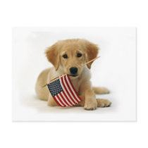 Golden Retriever Puppy and Flag Post Card