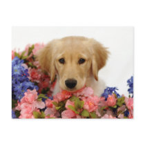 Golden Retriever Puppy and Flowers Postcard