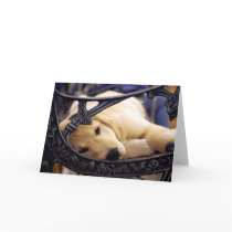 Golden Retriever Puppy Greeting Card