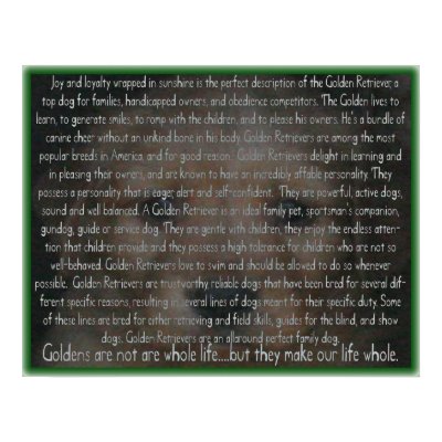 Golden Retriever PUPPY Characteristics Poster by dogproducts