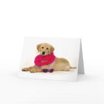 Golden Retriever Puppy Diva Greeting Card