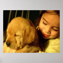 Golden Retriever Puppy Dog Photograph Print