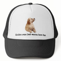 Golden Retriever Puppy Hat