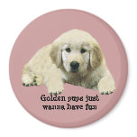 Golden Retriever Puppy Magnet