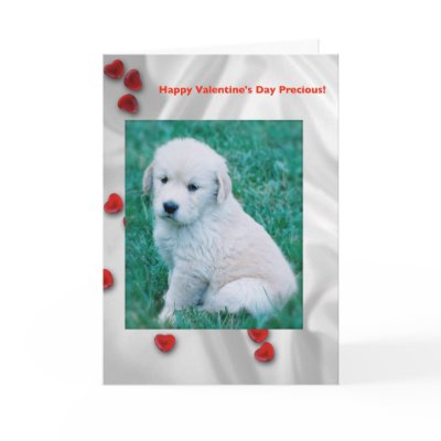 Golden Retriever Puppy Valentine's Day Card by TrevorTrent