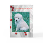 Golden Retriever Puppy Valentine's Day Card