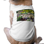 Golden Retriever Pups In Garden Pet Clothing