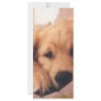 golden retriever rack card template