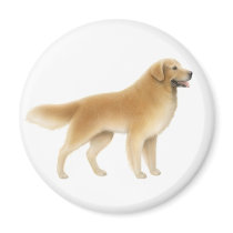 Golden Retriever Round Magnet