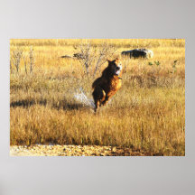 Golden Retriever Running Home Poster