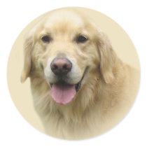 Golden Retriever Sticker