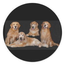 Golden Retriever Sticker