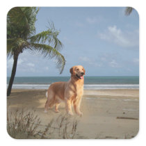 Golden Retriever Sticker