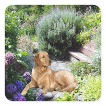 Golden Retriever Sticker