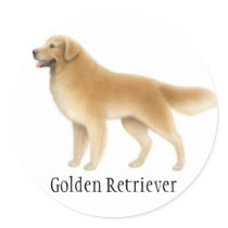 Golden Retriever Sticker