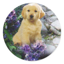 Golden Retriever Sticker Hydrangia