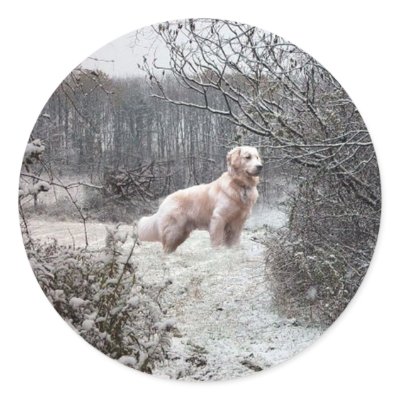 Golden Retriever Sticker Snow by normagolden