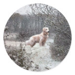 Golden Retriever Sticker Snow