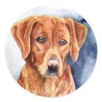 Golden Retriever Stickers