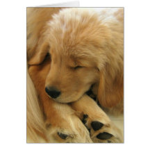 Golden Retriever Sweet Puppy Mother's Day Card