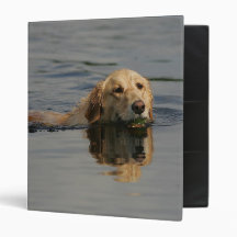 Golden Retriever Swimming Binders