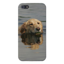 Golden Retriever Swimming iPhone 5 Case