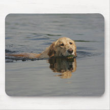 Golden Retriever Swimming Mouse Pad