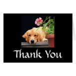 Golden Retriever Thank You Card Flower
