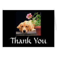 Golden Retriever Thank You Card Flower