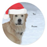 Golden Retriever To/From Christmas stickers