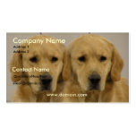 Golden Retriever Twins on a Business Card