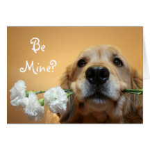Golden Retriever With Flowers "Be Mine" Card