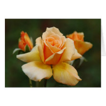Golden Roses Greeting Card