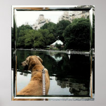 Golden Sails-Conservatory Water-Glass Frame Print