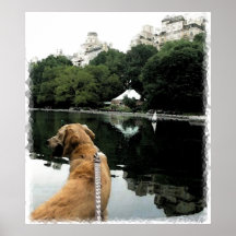 Golden Sails-Conservatory Water-Pixellated Print