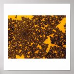 golden seashells poster