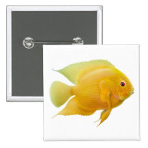Golden Severum Fish Pin