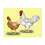 Golden Sex-link Chickens Postcard